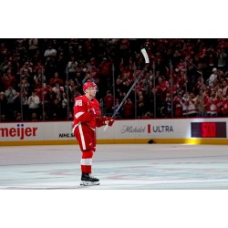Síla Detroitu Red Wings se s každou sezónou neustále zvyšuje
